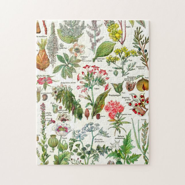Puzzle Illustrations botaniques (Vertical)