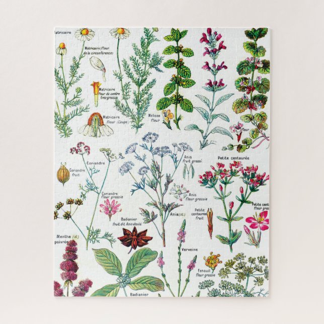Puzzle Illustrations botaniques (Vertical)