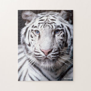 Puzzle Image de White Bengal Tiger