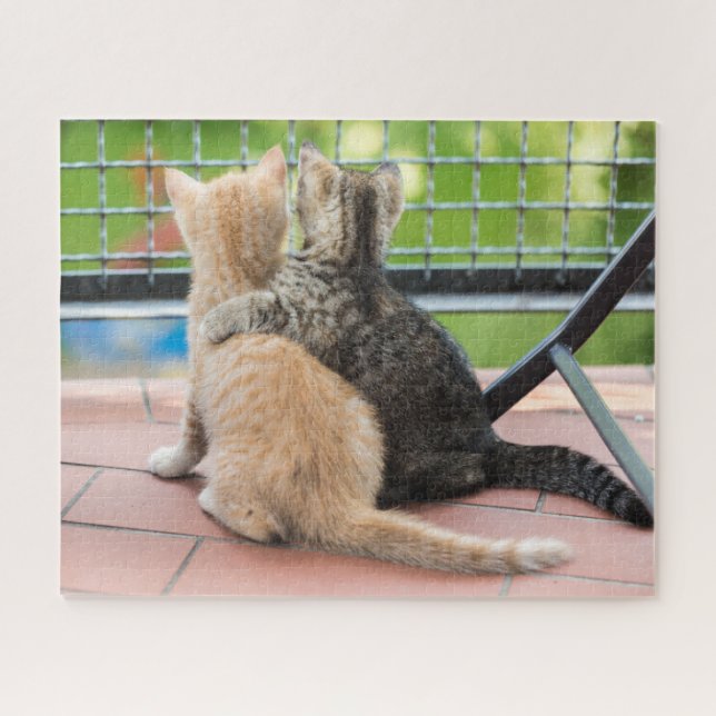 Puzzle Images de Getty | deux chatons sur un balcon (Horizontal)