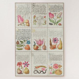 Puzzle Images de Mira Calligraphiae Monumenta 004