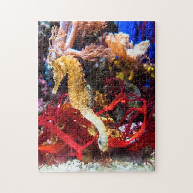 Puzzle Imaginaire Seahorse (Vertical)
