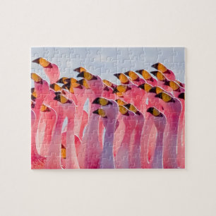 Puzzle impossible - Flamants roses