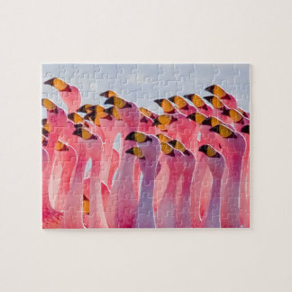 Puzzle impossible - Flamants roses