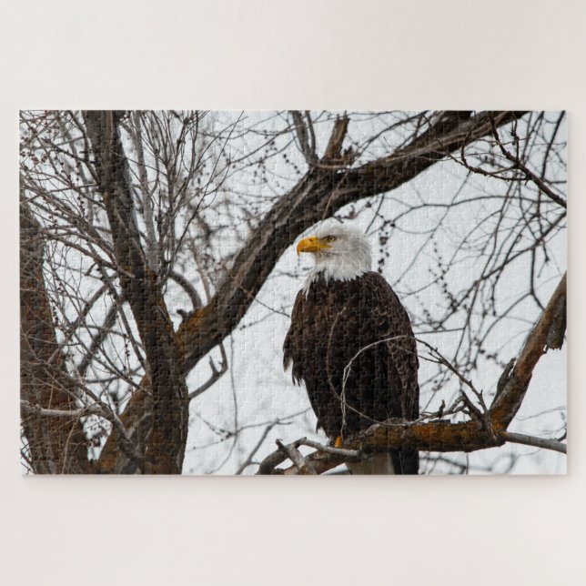 Puzzle Impossible - Haliaeetus (Horizontal)