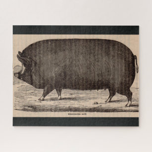 Puzzle Impression de porc du 19e siècle Berkshire semé no
