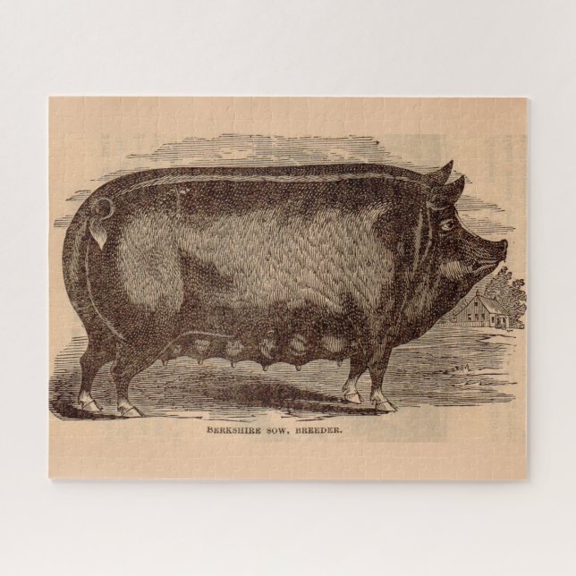 Puzzle Impression de porc du 19e siècle Berkshire semé no (Horizontal)