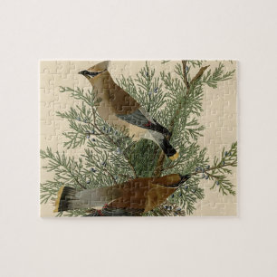 Puzzle Impression d'oiseau de John James Audubon Jaseur b