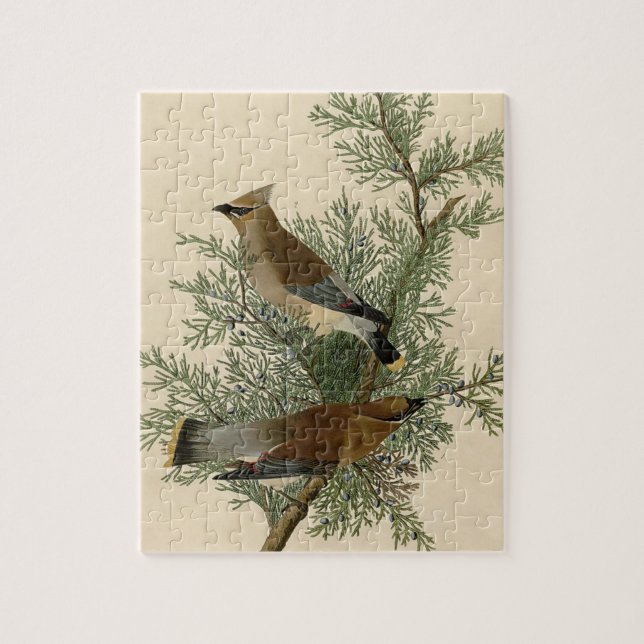 Puzzle Impression d'oiseau de John James Audubon Jaseur d (Vertical)