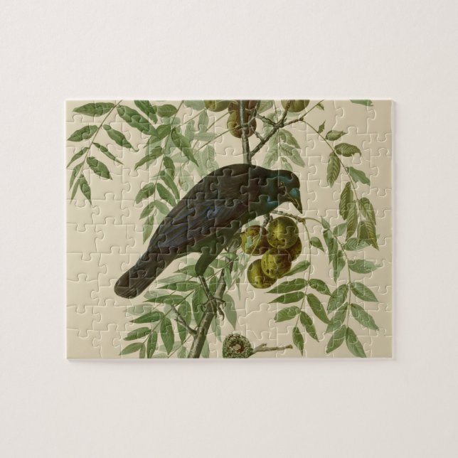 Puzzle Impression d'oiseau Grackle Violet d'Audubon Botan (Horizontal)