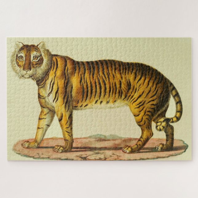 Puzzle Impression tigre 1824 (Horizontal)