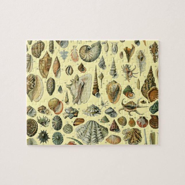 Puzzle Impression vintage de coquillages d'Adolphe Millot (Horizontal)