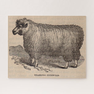 Puzzle Imprimé au 19e siècle année Cotswold brebis