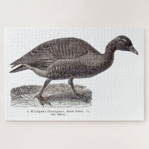 Puzzle imprimé aviaire allemand antique Oie sauvage Wildg