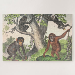 Puzzle Imprimer les anciens singes