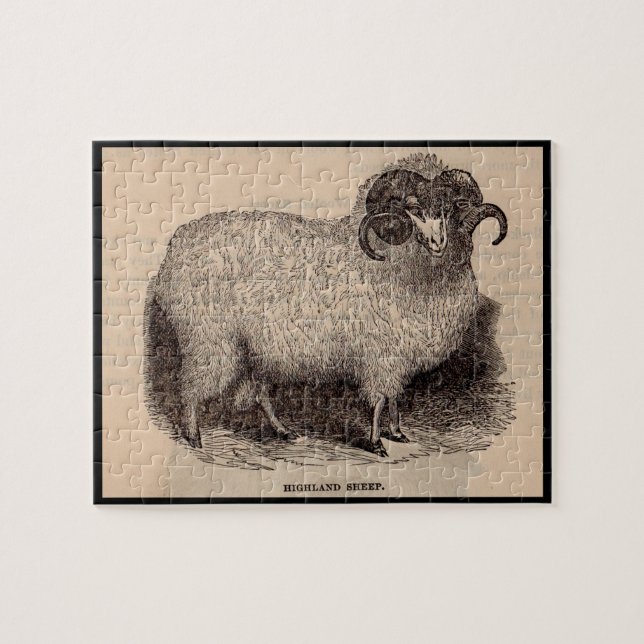 Puzzle Imprimerie du 19e siècle moutons des Highlands (Horizontal)