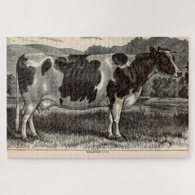 Puzzle Imprimerie du 19e siècle Vache Holstein (Horizontal)