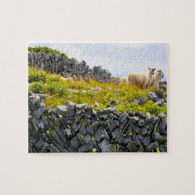 Puzzle Inisheer Aran Islands Galway Irlande. (Horizontal)