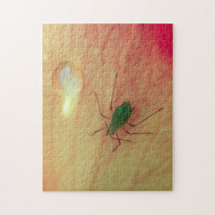 Puzzle Insecte
