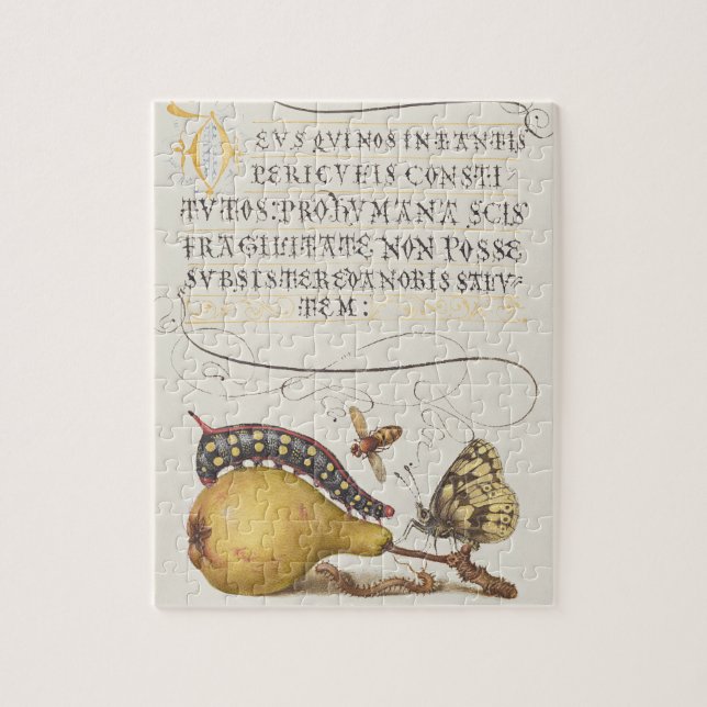 Puzzle Insectes de jardin, mouche, chenille, poire, mille (Vertical)