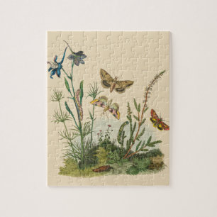 Puzzle Insectes de jardin vintage, papillons, chenilles