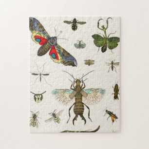 Puzzle insectes, insecte, nature, papillon, insectes, abe