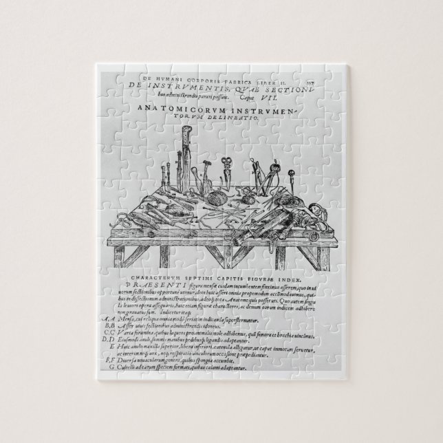 Puzzle Instruments pour les dissections, illustration de (Vertical)