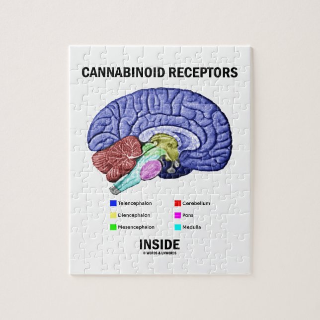 Puzzle Intérieur de récepteurs de Cannabinoid (anatomie (Vertical)