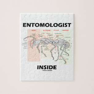 Puzzle Intérieur d'entomologiste (anatomie de fourmi de