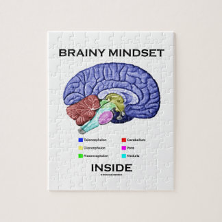 Puzzle Intérieur intelligent de mentalité (cerveau