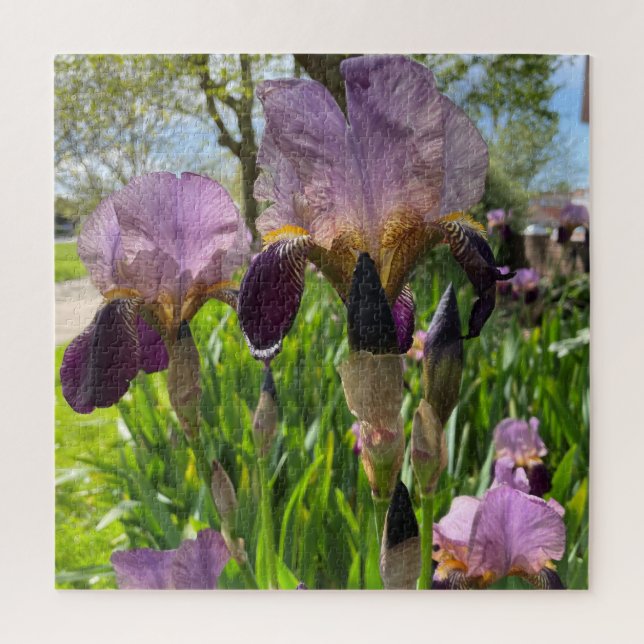 Puzzle Iris à poils (Vertical)