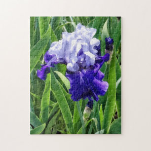 Puzzle Iris de meilleur choix