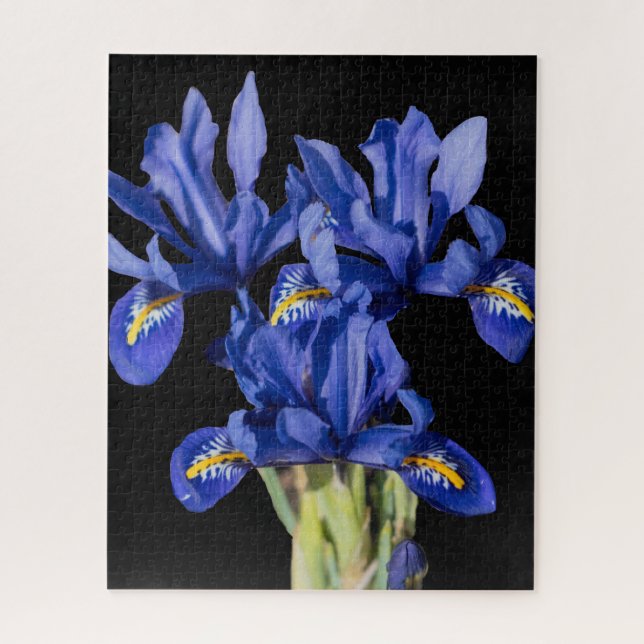 Puzzle Iris Jigsaw (Vertical)