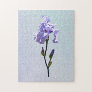 Puzzle Iris lavande et bourgeons