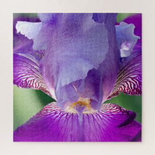 Puzzle Iris Lumineux Photo de Nature / Florale / Botaniqu