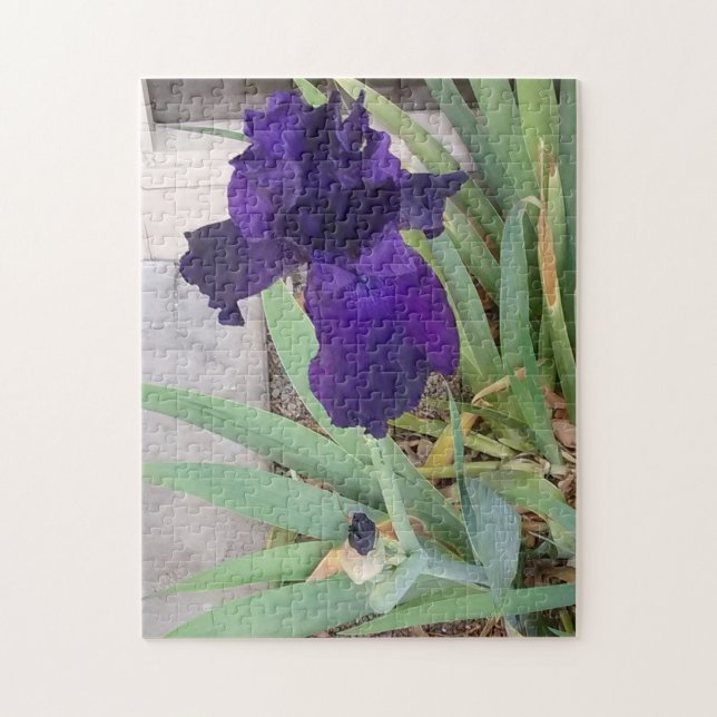 Puzzle Iris pourpre (Vertical)