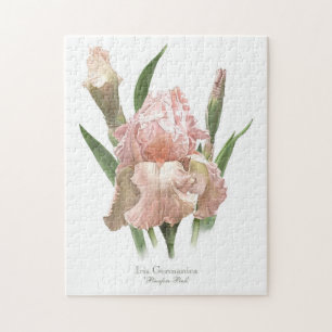 Puzzle Iris Rose Pâle