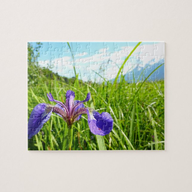 Puzzle Iris sauvage et paysage d'Alaska (Horizontal)
