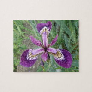 Puzzle Iris violet