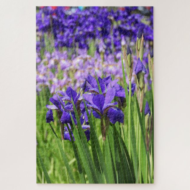 Puzzle Iris violet en fleur, Elizabeth Park Gardens (Vertical)