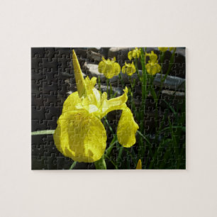 Puzzle Irises Jaunes Bright Spring Floral