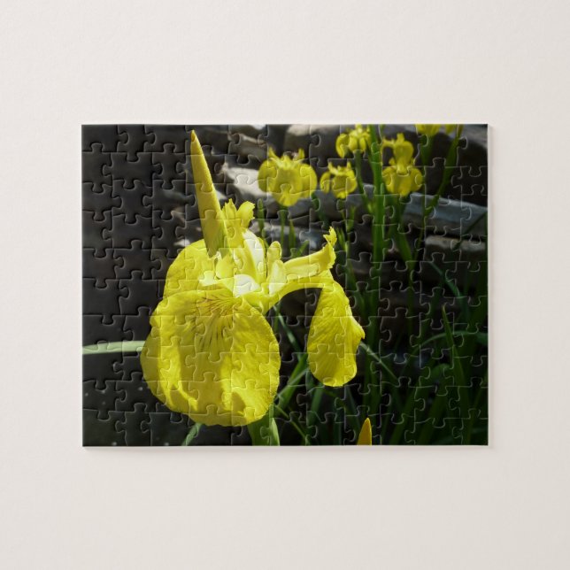 Puzzle Irises Jaunes Bright Spring Floral (Horizontal)