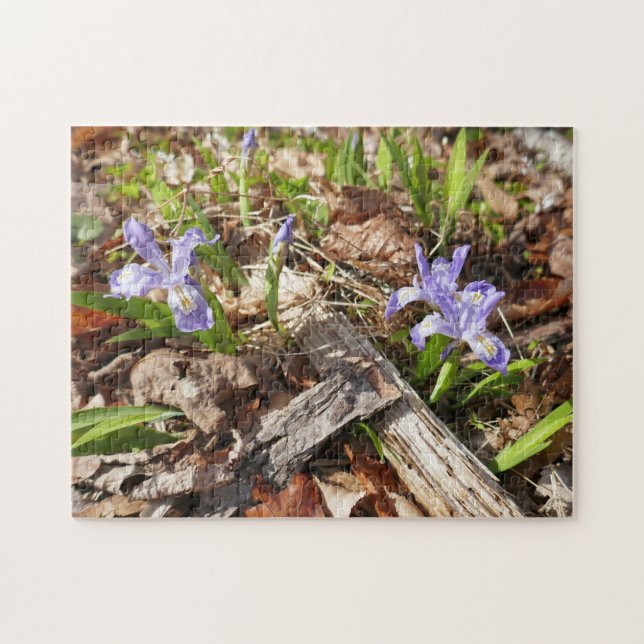 Puzzle Irises miniatures sauvages (Horizontal)