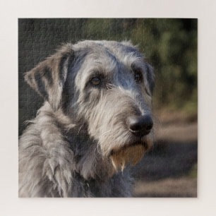 Puzzle Irish Wolfhound Je Ne Suis Pas Amusé,