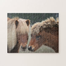 Puzzle islandais de cheval de jument et de poulain