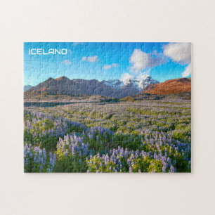 Puzzle Islande