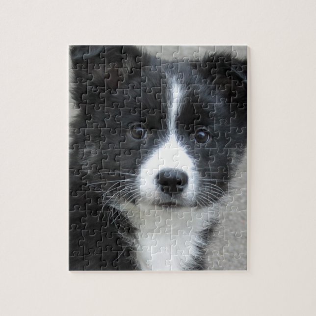 Puzzle Islandhund (Vertical)