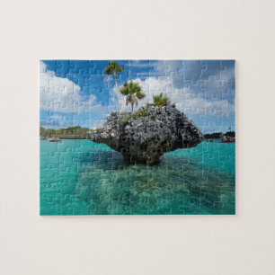 Puzzle Islet De Champignons Aux Fidji