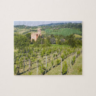 Puzzle Italie, Bologne, Vue à travers le vignoble jusqu'à
