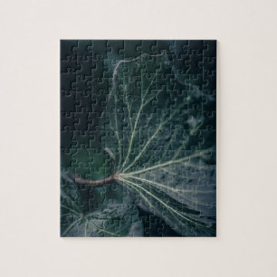 Puzzle Ivy Leaf Nature Photo